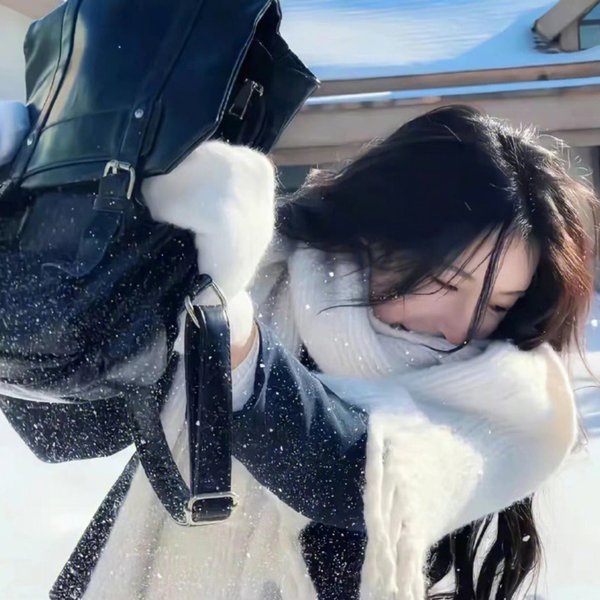 混沌行走